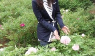 2021年度感动中国10大人物事迹及颁奖词 中国富豪排行榜2012